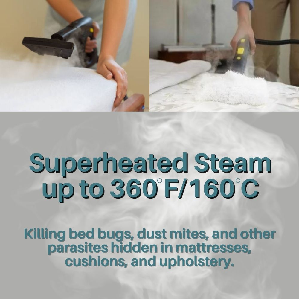 Steam Cleaner for Bed Bugs: Get Rid of Bed Bugs in 7 Days Effective, Safe Solution