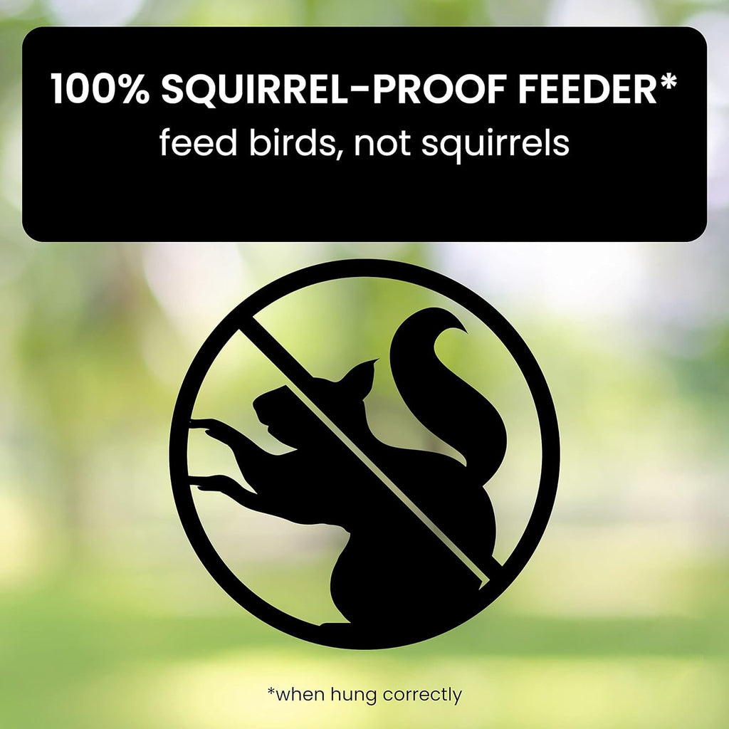 Squirrel-Proof Bird Feeder: spinning with 5 lb seed capacity for wild bird