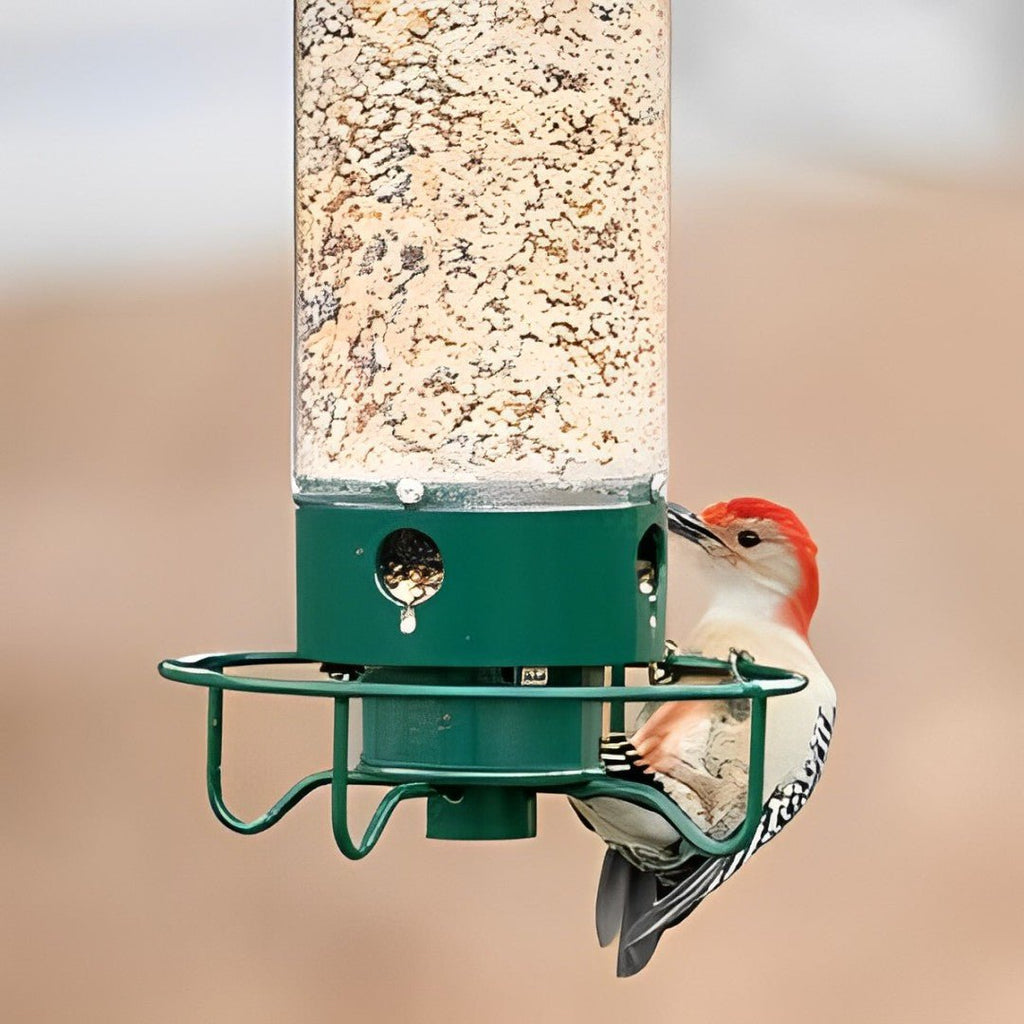 Squirrel-Proof Bird Feeder: spinning with 5 lb seed capacity for wild bird