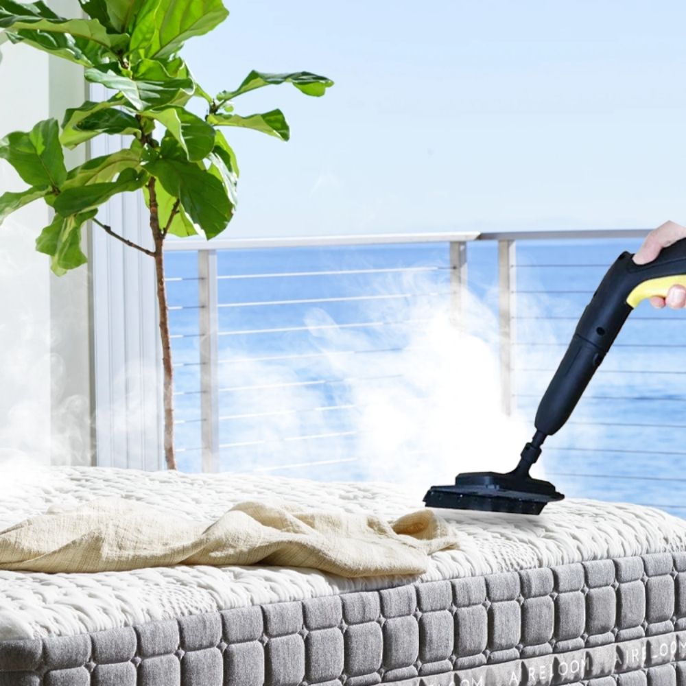 Steam Cleaner for Bed Bugs: Get Rid of Bed Bugs in 7 Days Effective, Safe Solution