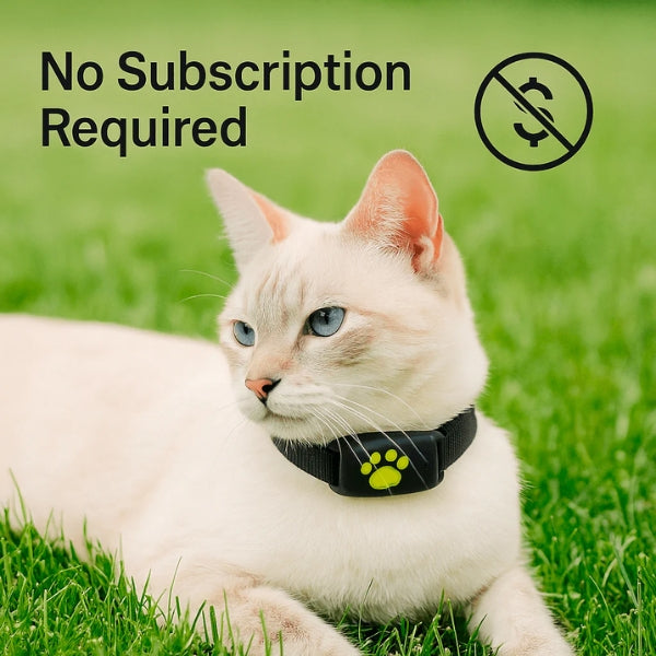 Smart GPS Cat Collar