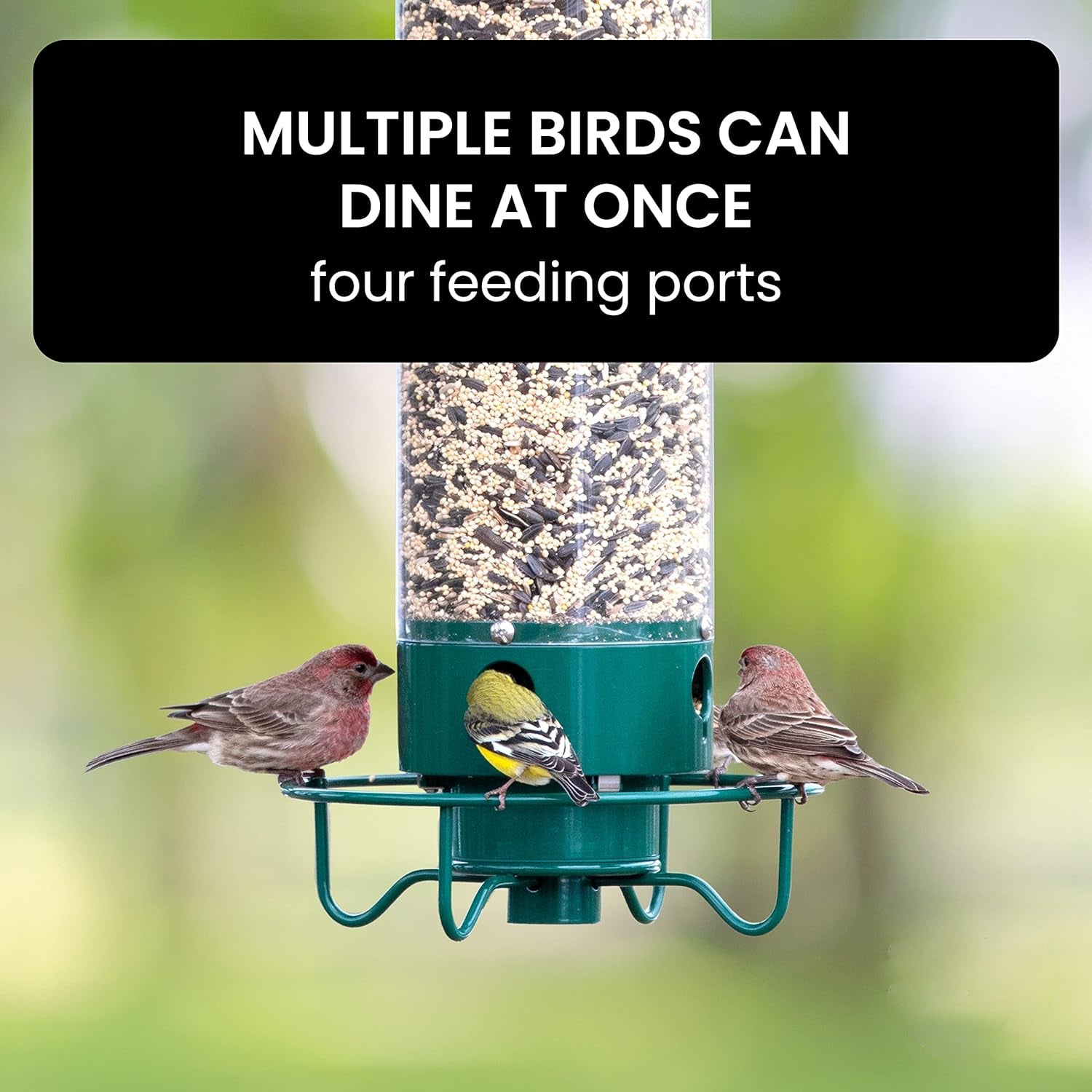 Squirrel-Proof Bird Feeder: spinning with 5 lb seed capacity for wild bird
