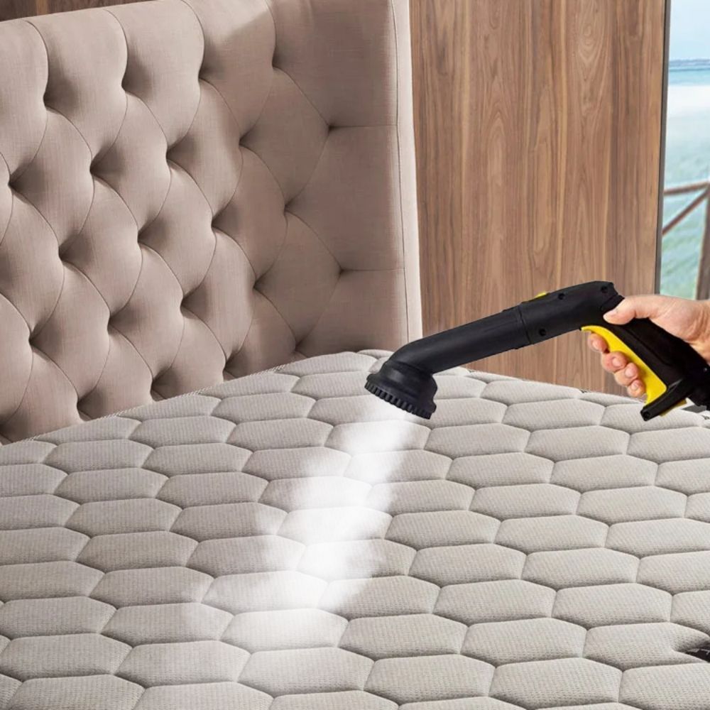 Steam Cleaner for Bed Bugs: Get Rid of Bed Bugs in 7 Days Effective, Safe Solution