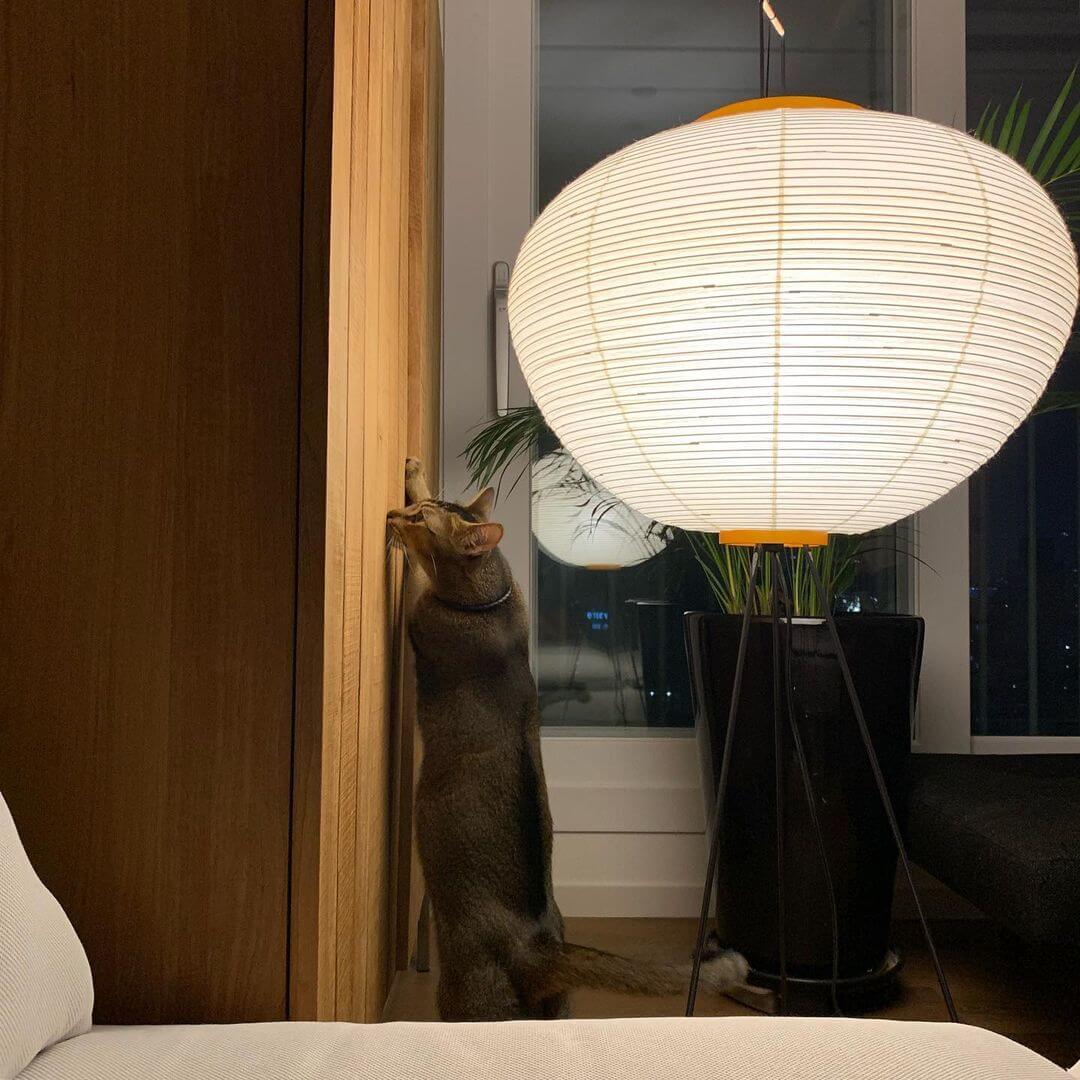 LED Floor Lamp - Modern Adjustable Design with Warm White Light for Living Room & Bedroom Use