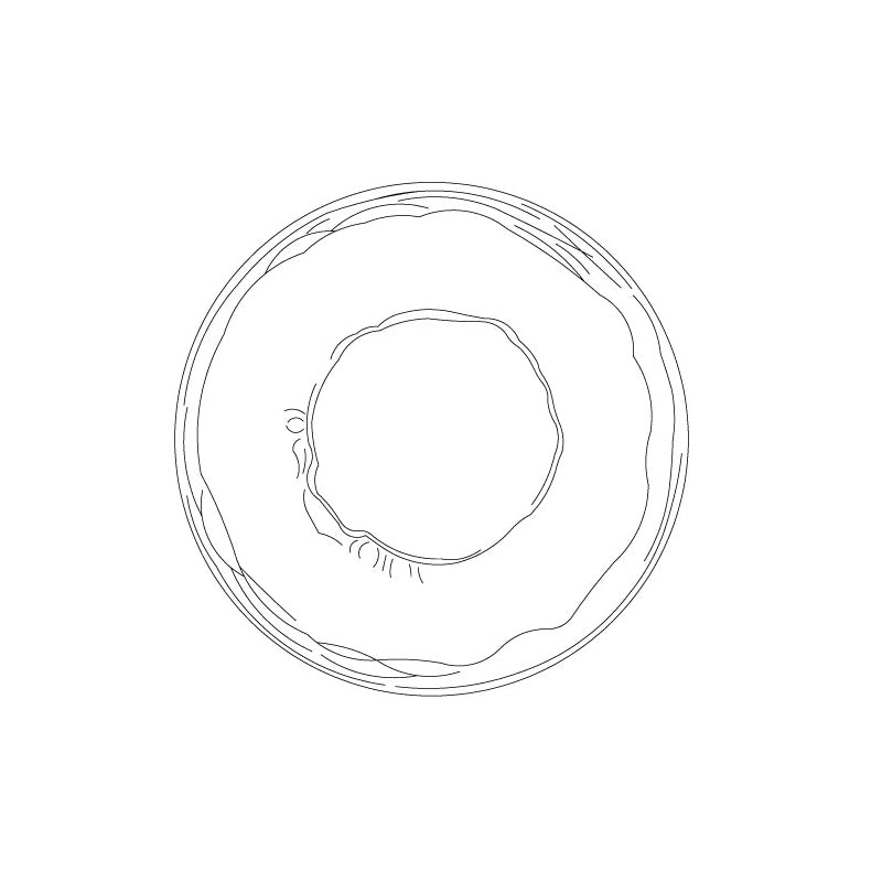 Glass Wall Sconce Light with Nordic Round Design for Bedroom, Living Room & Hallway Accent Lighting