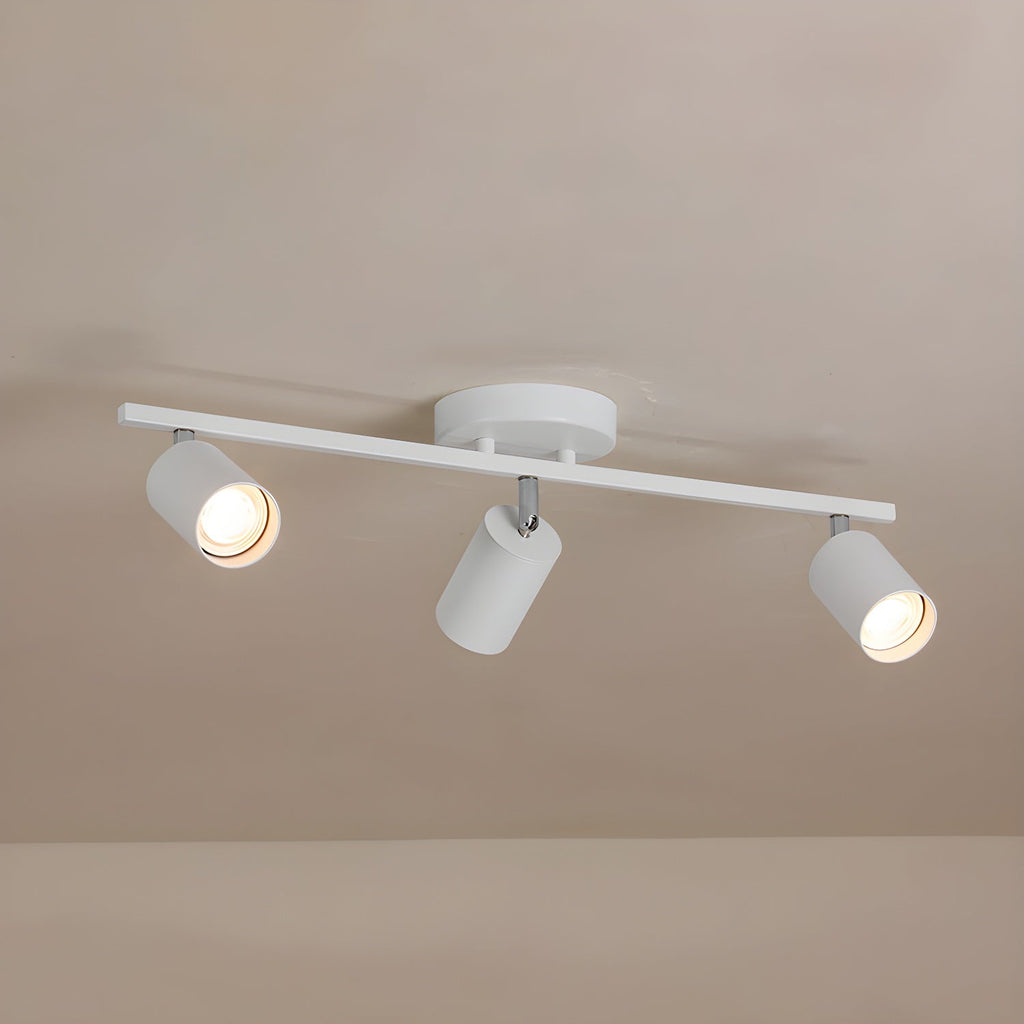 LED Ceiling Light | Adjustable Spotlight Heads with Gold Accents for Living Spaces and Galleries