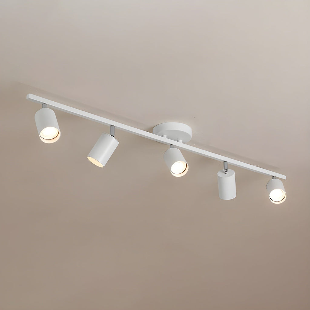 LED Ceiling Light | Adjustable Spotlight Heads with Gold Accents for Living Spaces and Galleries