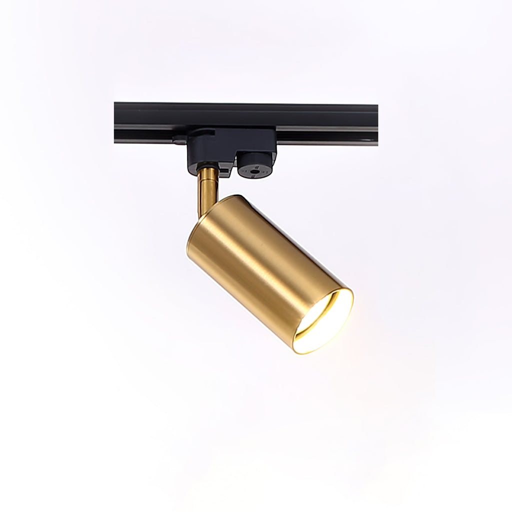 Gilded Rail Track Light | Sleek Gunmetal Black with Golden Cylindrical Heads for Indoor Modern & Industrial Decor
