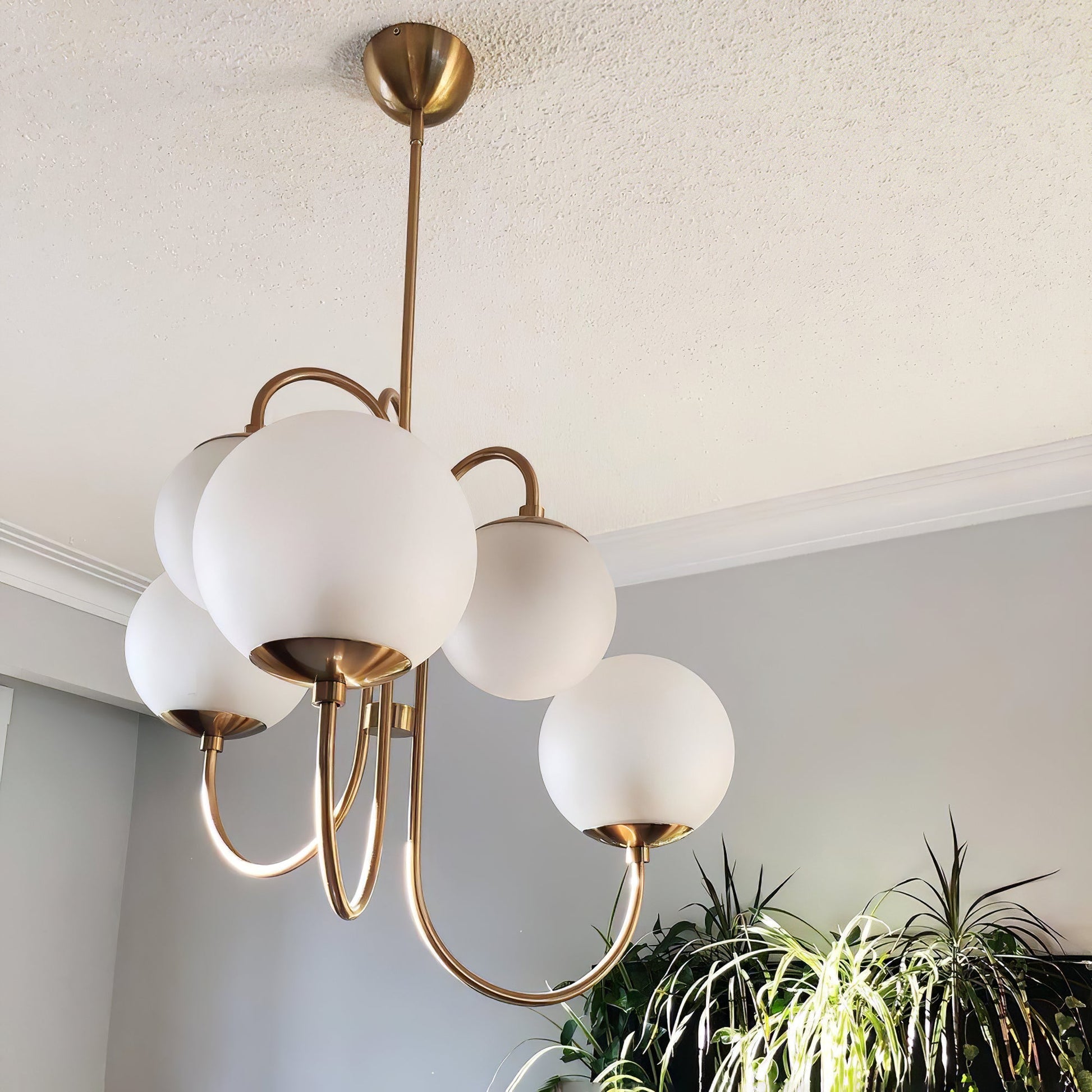 Gooseneck Chandelier | Wrought Iron & Glass, Damp-Rated for Indoor Use in Contemporary or Mid-Century Modern Spaces