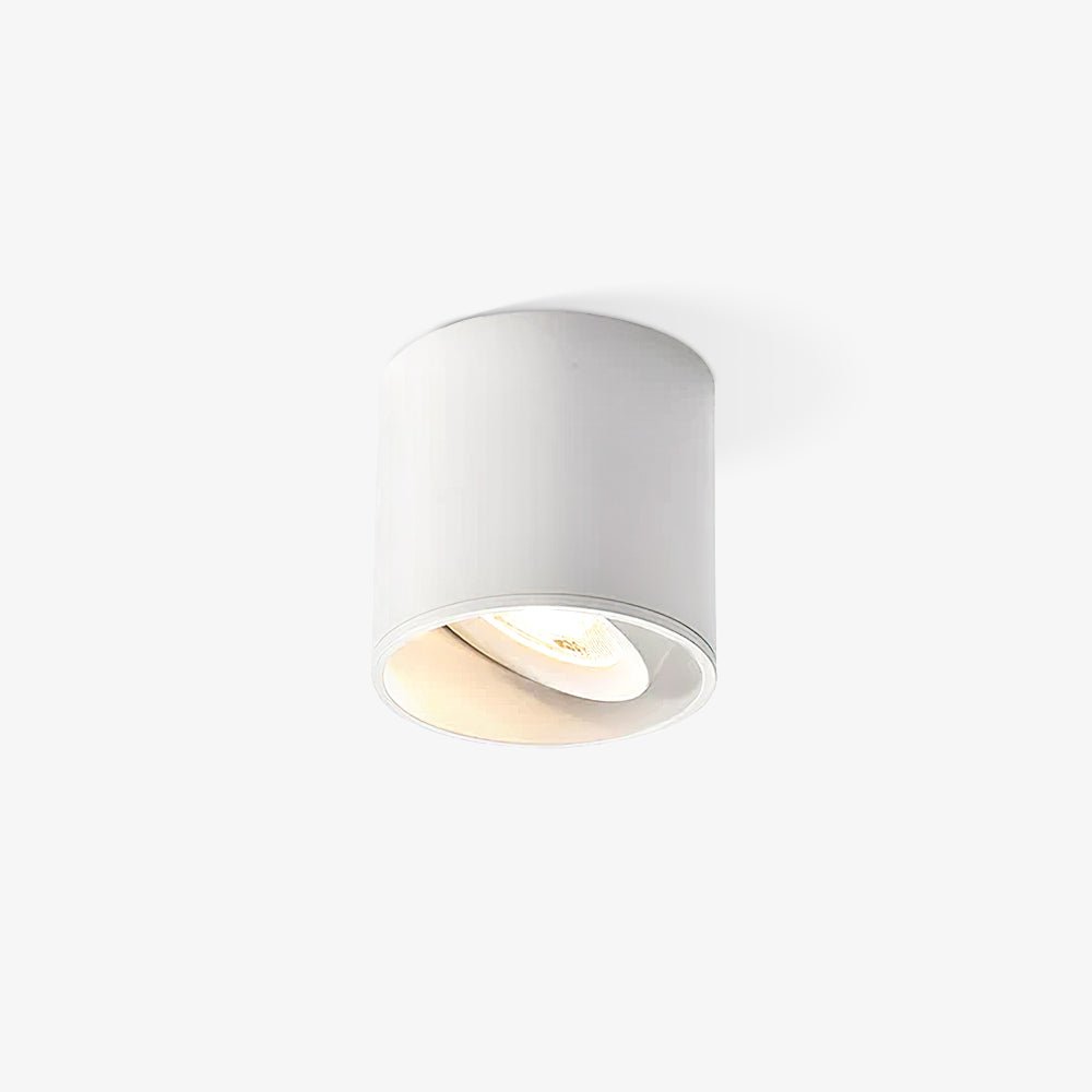 Modern LED Ceiling Light | Dimmable, Rugged Metal & Acrylic for Indoor Use, Available in Warm, Neutral, and Cool Light