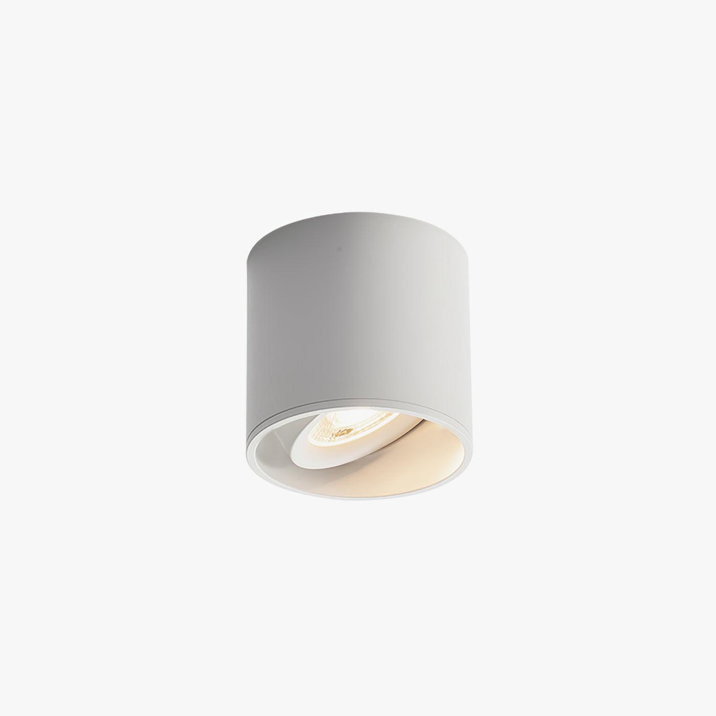 Modern LED Ceiling Light | Dimmable, Rugged Metal & Acrylic for Indoor Use, Available in Warm, Neutral, and Cool Light