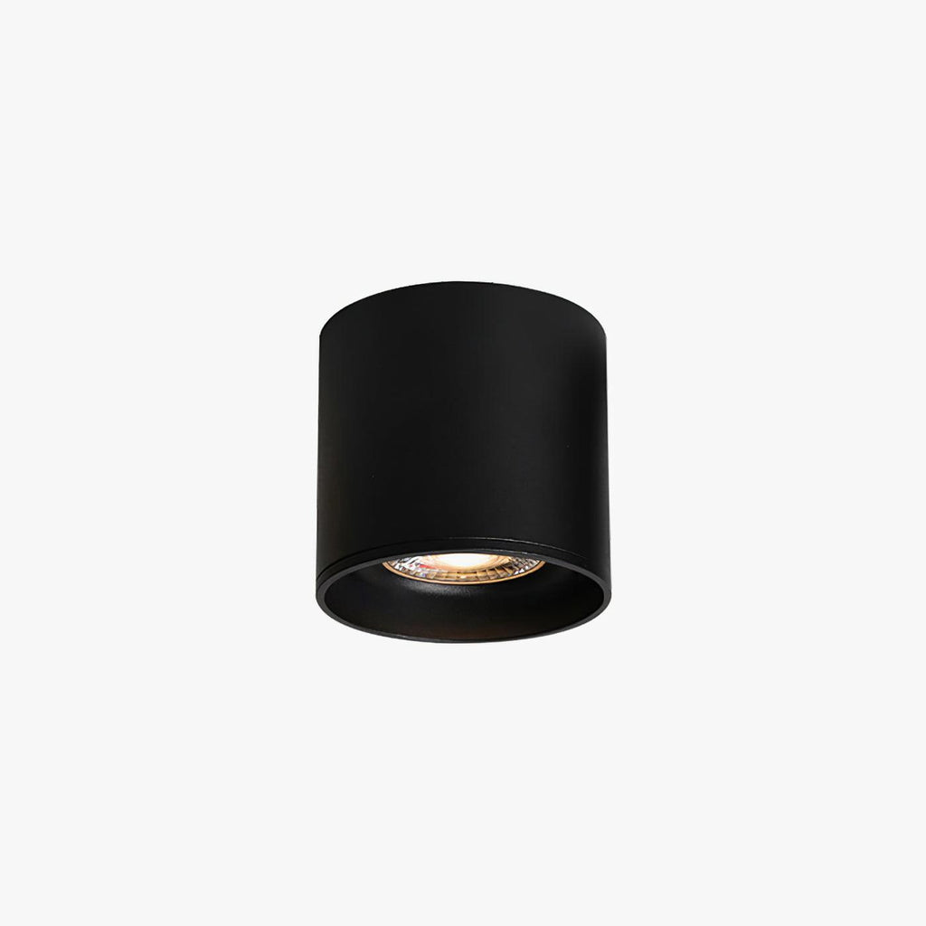 Modern LED Ceiling Light | Dimmable, Rugged Metal & Acrylic for Indoor Use, Available in Warm, Neutral, and Cool Light