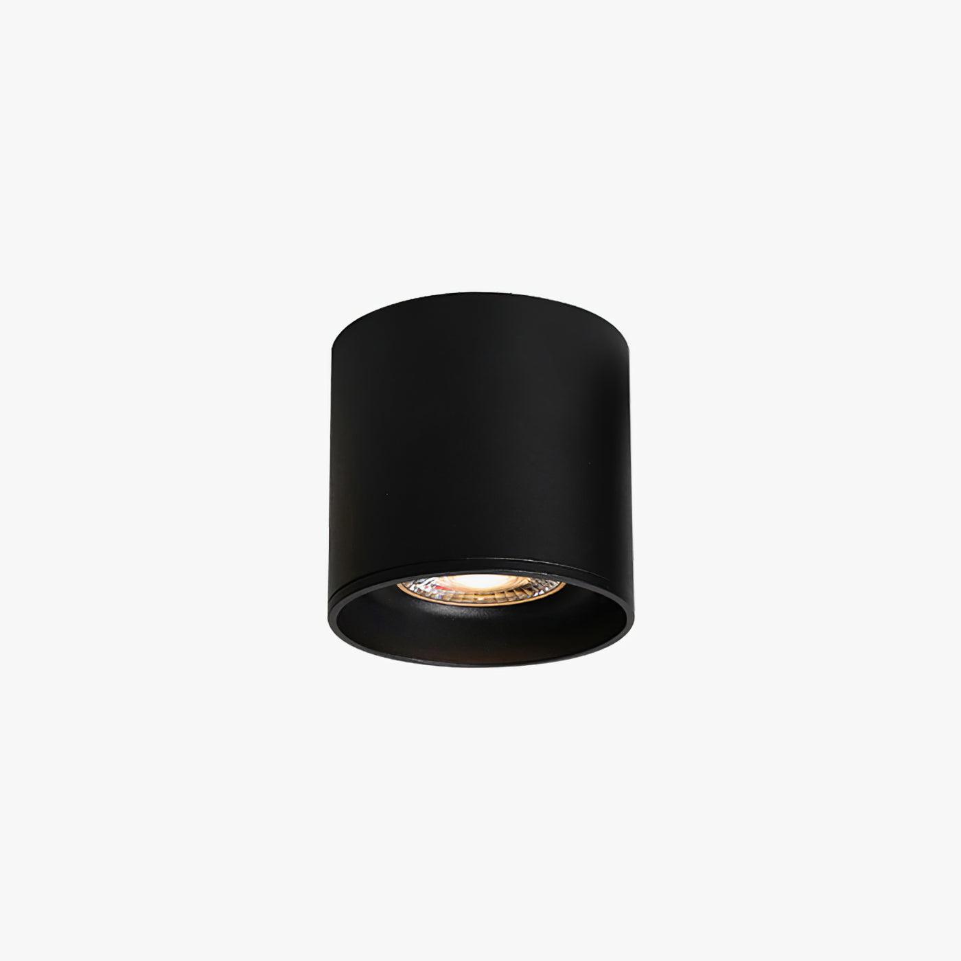 Modern LED Ceiling Light | Dimmable, Rugged Metal & Acrylic for Indoor Use, Available in Warm, Neutral, and Cool Light