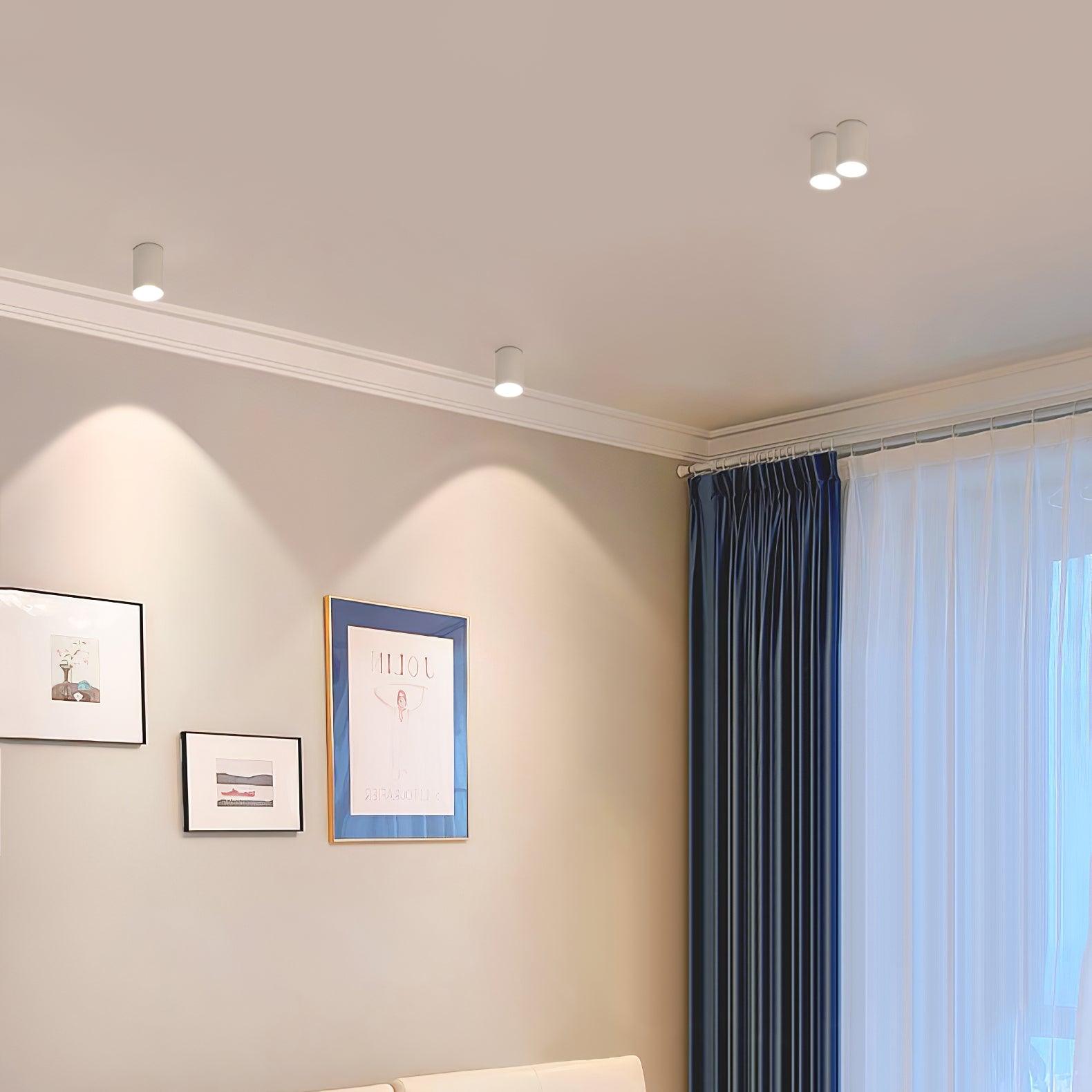 Modern LED Ceiling Light | Dimmable, Rugged Metal & Acrylic for Indoor Use, Available in Warm, Neutral, and Cool Light