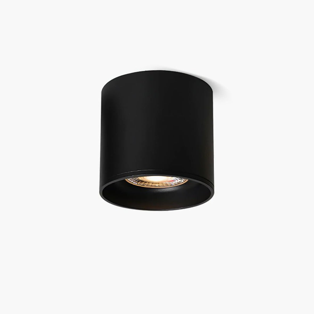 Modern LED Ceiling Light | Dimmable, Rugged Metal & Acrylic for Indoor Use, Available in Warm, Neutral, and Cool Light