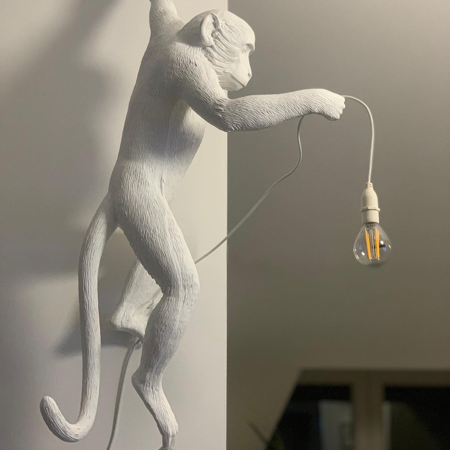 LED Monkey Wall Lamp - Unique Animal Design Fixture for Kids' Rooms, Nurseries & Playrooms
