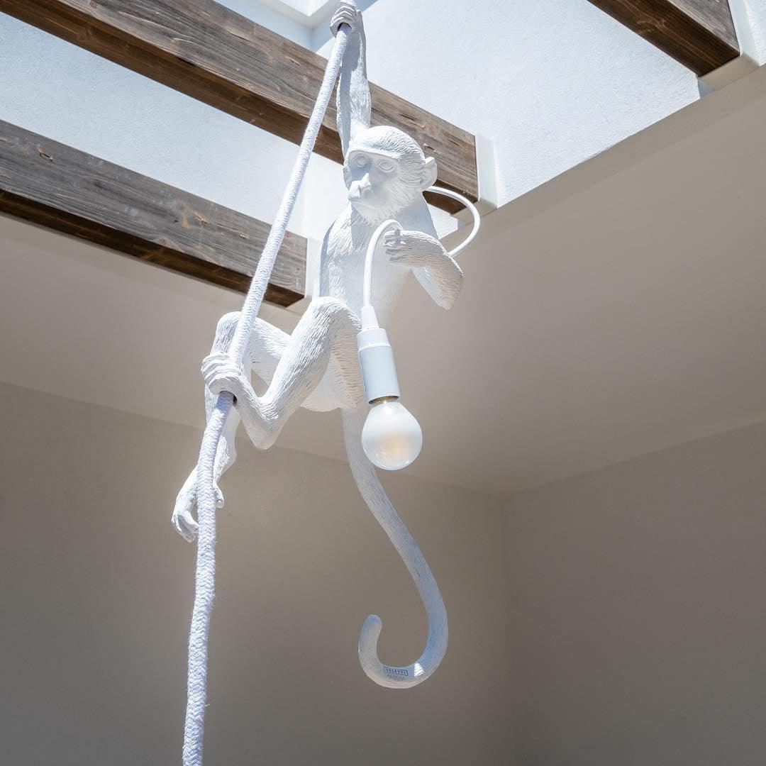 Monkey Pendant Lamp | Glossy Resin, Indoor Use & Perfect for Ambient Lighting