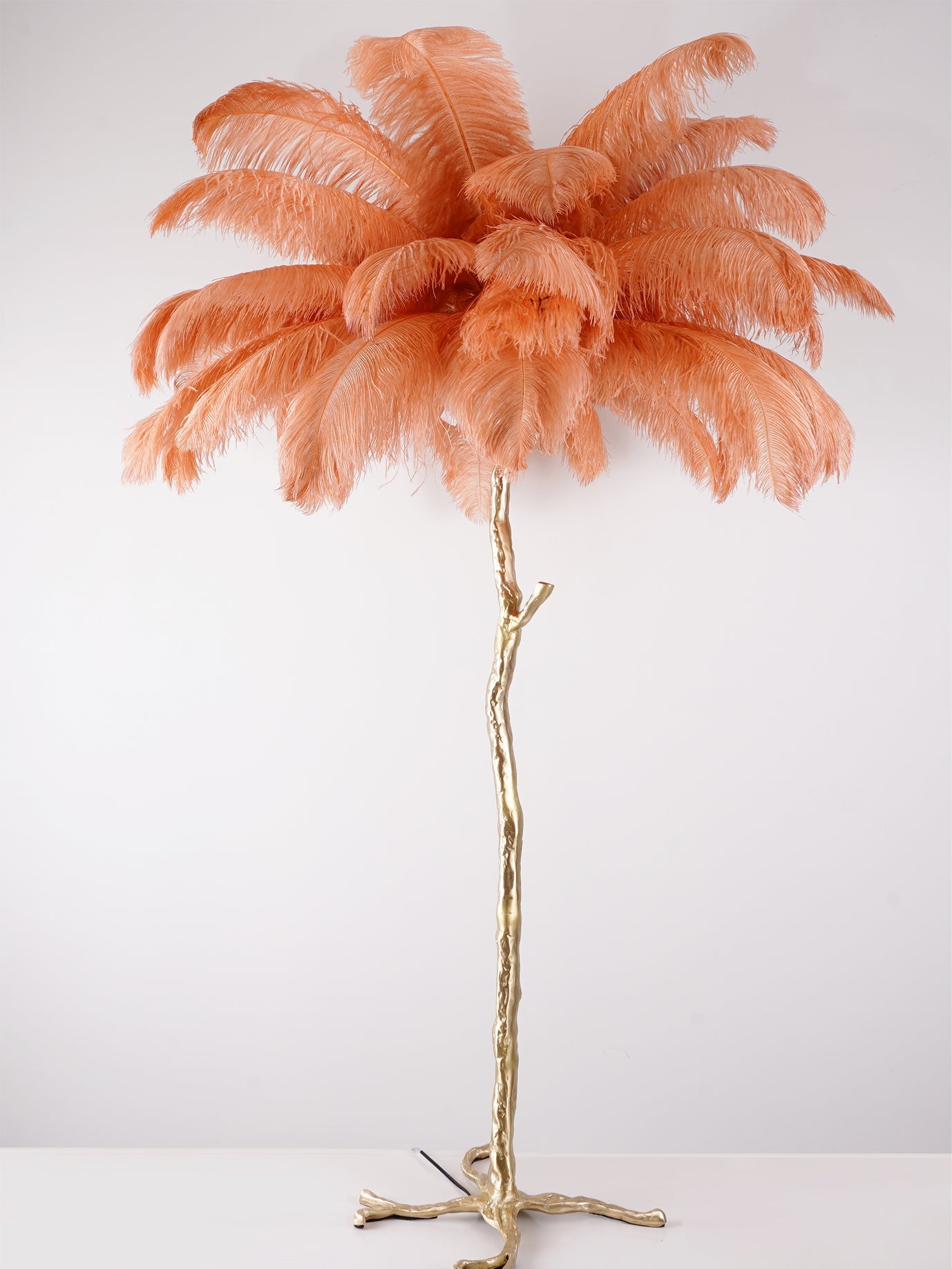 Brass Floor Lamp with Ostrich Feather Shade - Modern Lighting for Living Room & Bedroom Decor