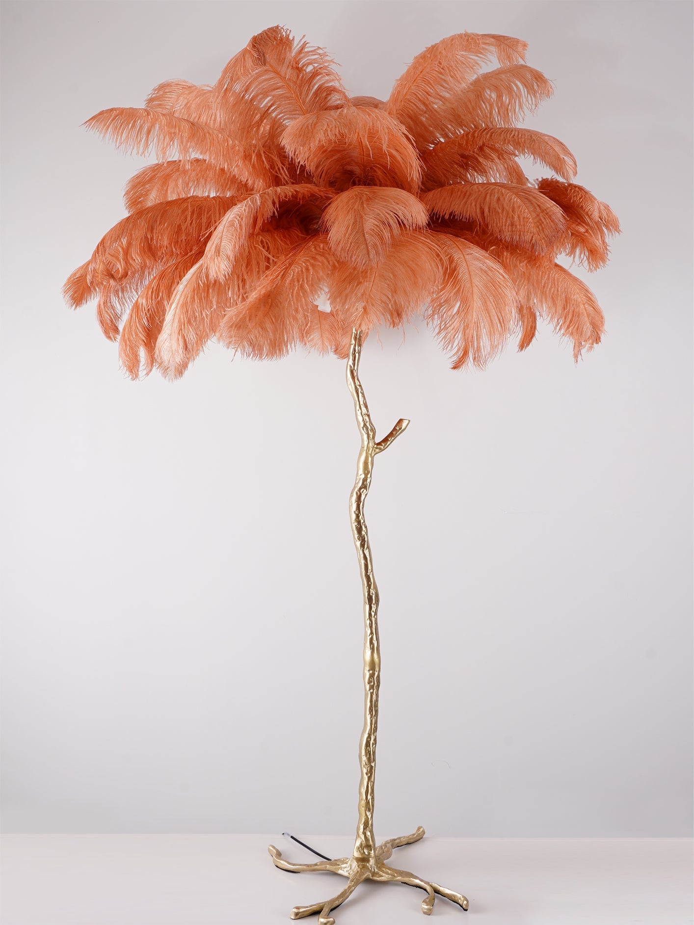 Brass Floor Lamp with Ostrich Feather Shade - Modern Lighting for Living Room & Bedroom Decor