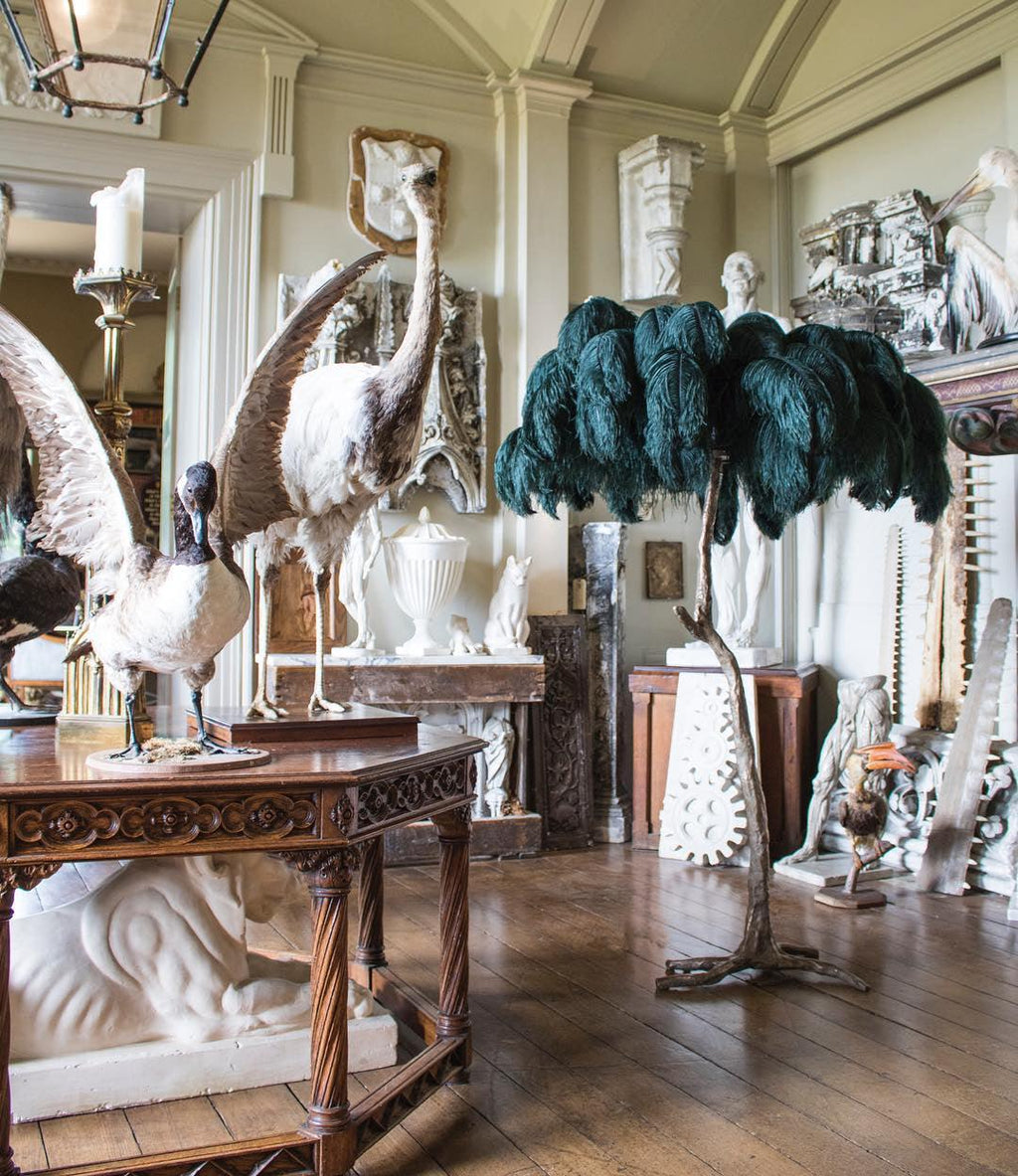 Brass Floor Lamp with Ostrich Feather Shade - Modern Lighting for Living Room & Bedroom Decor