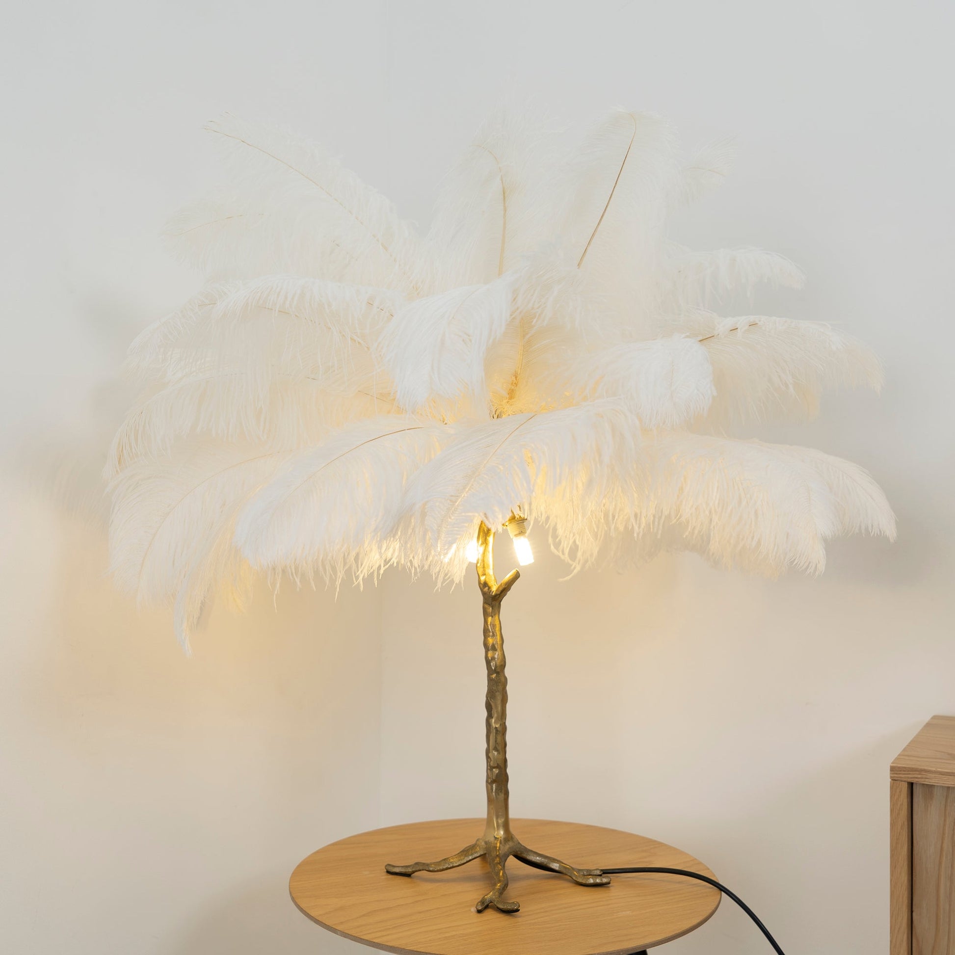 Ostrich Feather Table Lamp with Adjustable Brightness for Living Room & Bedroom Decor