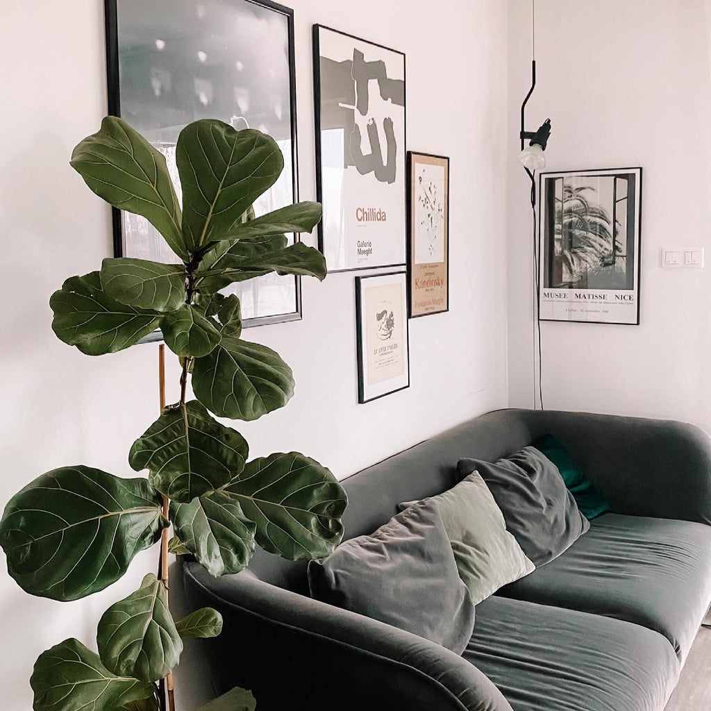 Parentesi Pendant Light Fixture - Adjustable Modern Design for Dining Room & Kitchen Lighting