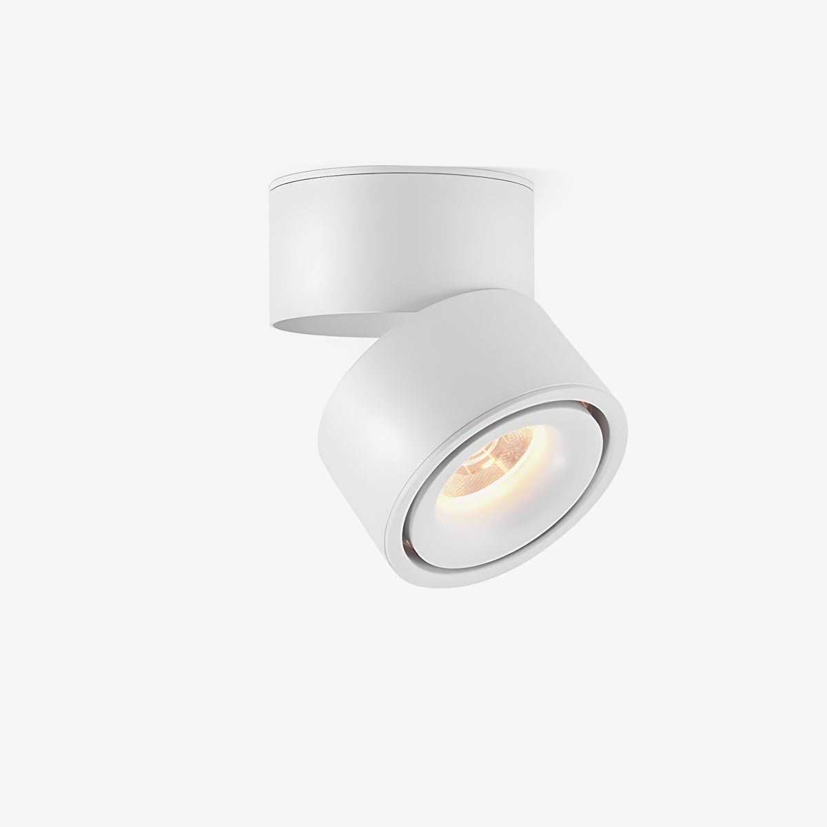 Rotatable Spotlight Ceiling Light | Adjustable Heads, 24° Beam Angle & Ideal for Highlighting Artwork Indoors