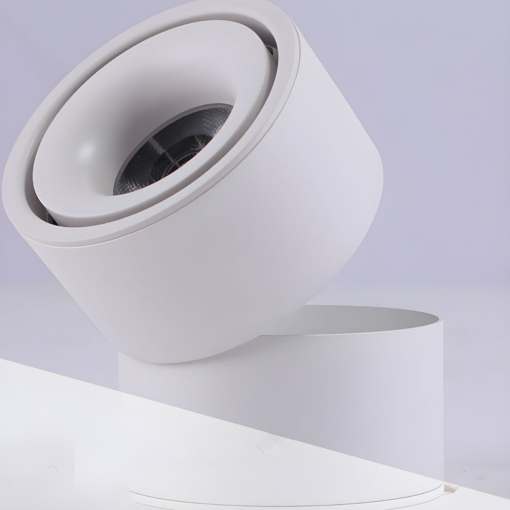 Rotatable Spotlight Ceiling Light | Adjustable Heads, 24° Beam Angle & Ideal for Highlighting Artwork Indoors