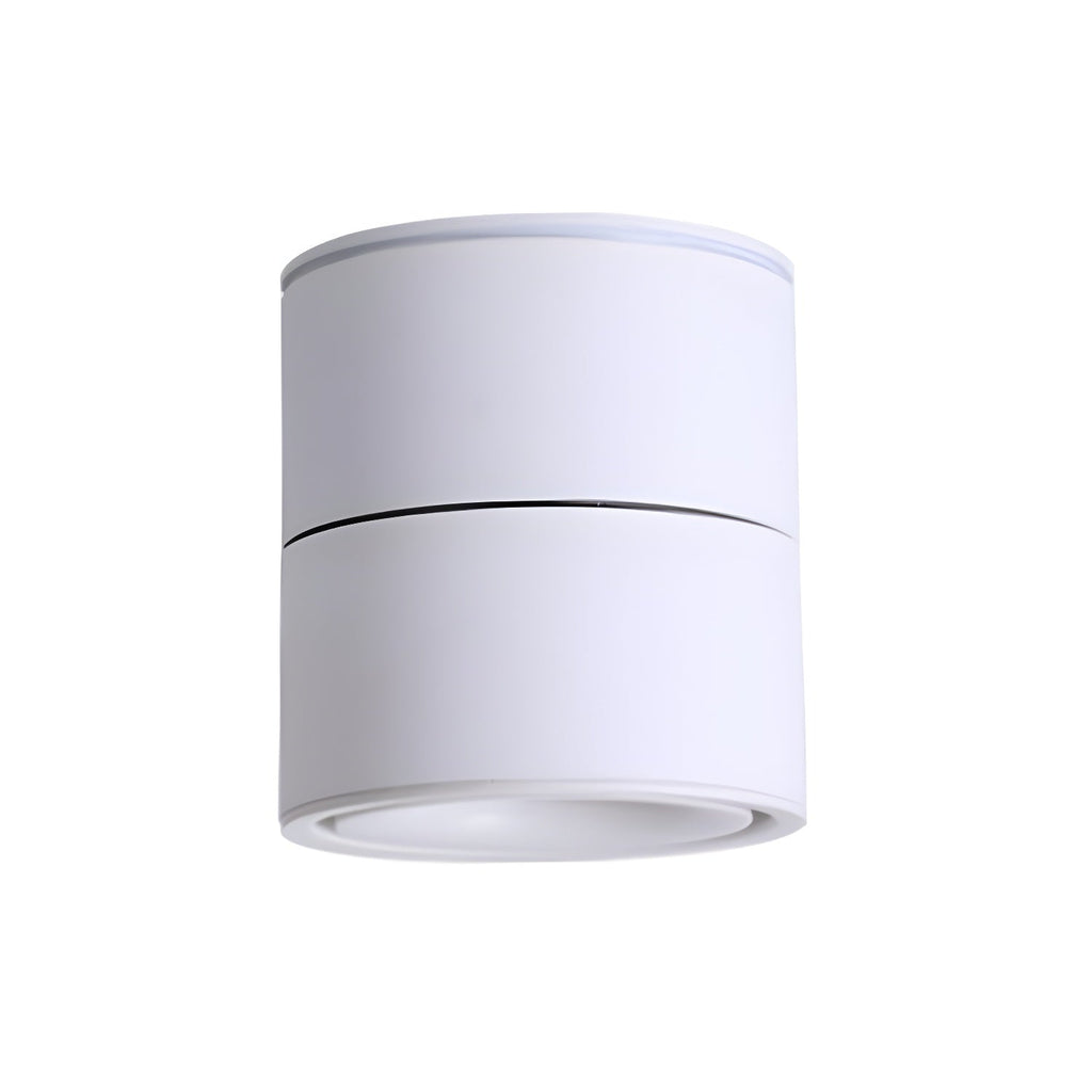 Rotatable Spotlight Ceiling Light | Adjustable Heads, 24° Beam Angle & Ideal for Highlighting Artwork Indoors