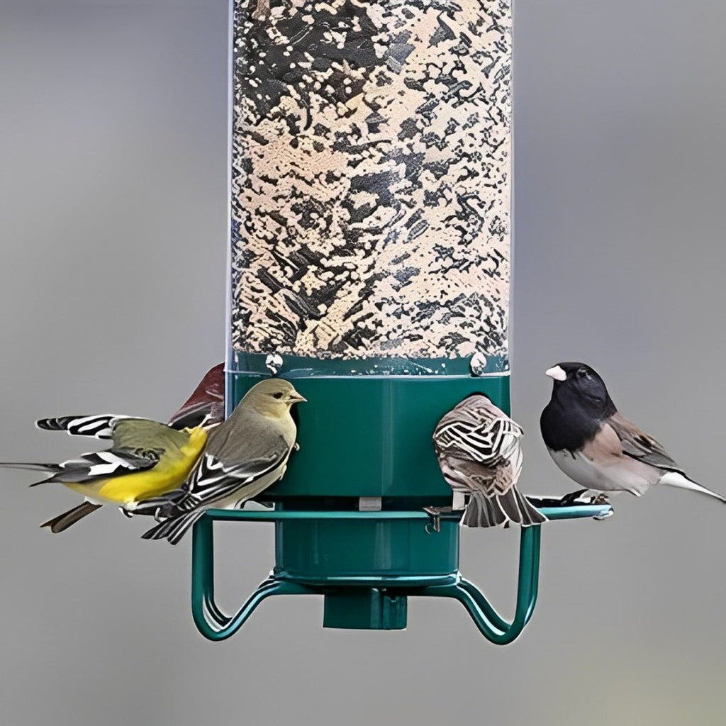 Squirrel-Proof Bird Feeder: spinning with 5 lb seed capacity for wild bird