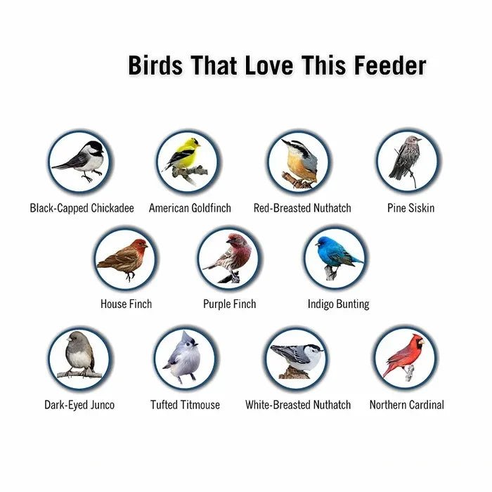 Squirrel-Proof Bird Feeder: spinning with 5 lb seed capacity for wild bird