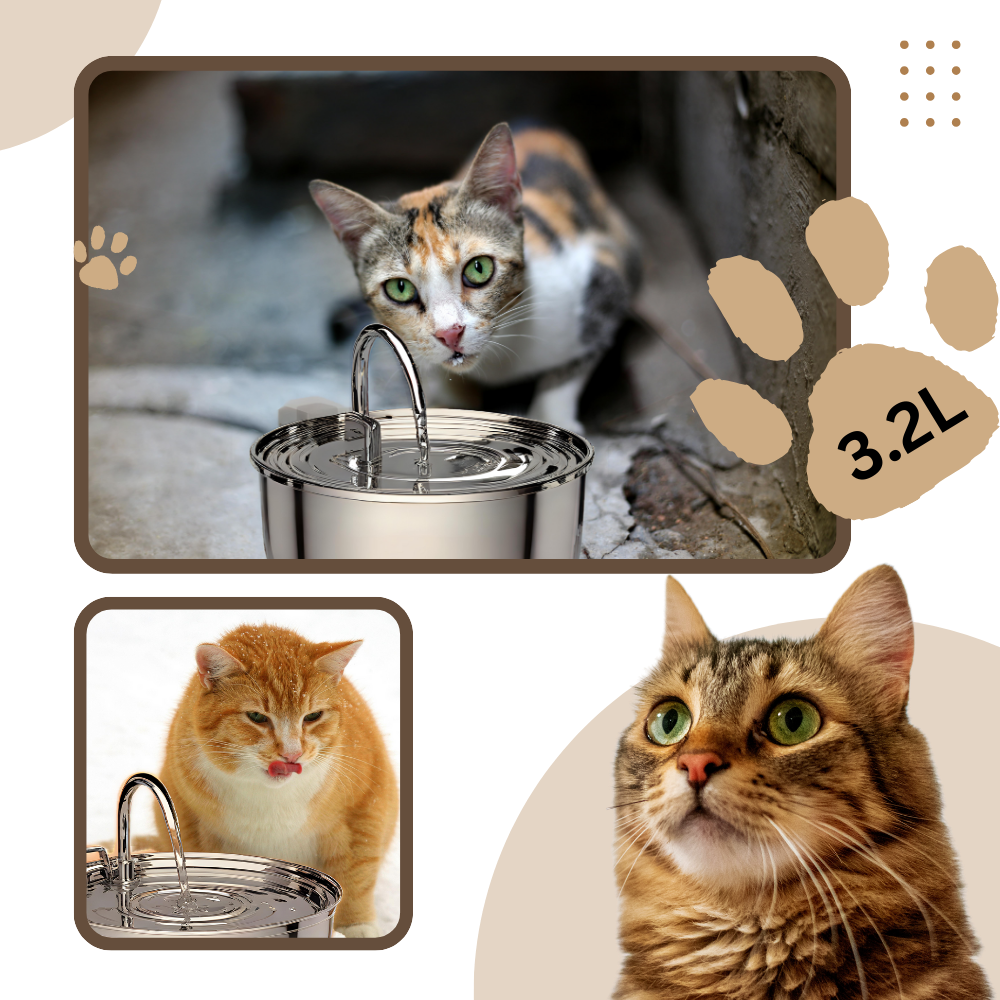 Automatic Cat Water Fountain | Stainless Steel Large Capacity Drinking Dispenser