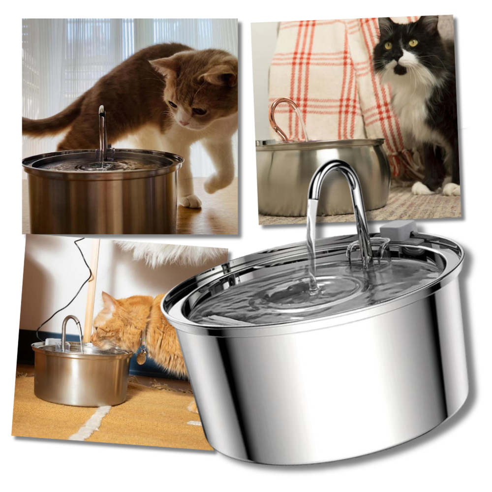 Automatic Cat Water Fountain | Stainless Steel Large Capacity Drinking Dispenser