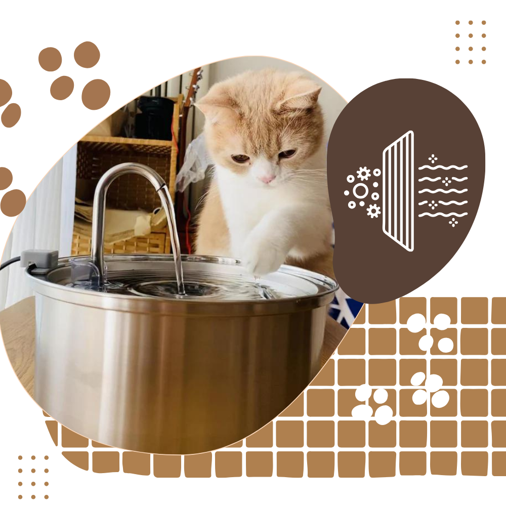 Automatic Cat Water Fountain | Stainless Steel Large Capacity Drinking Dispenser