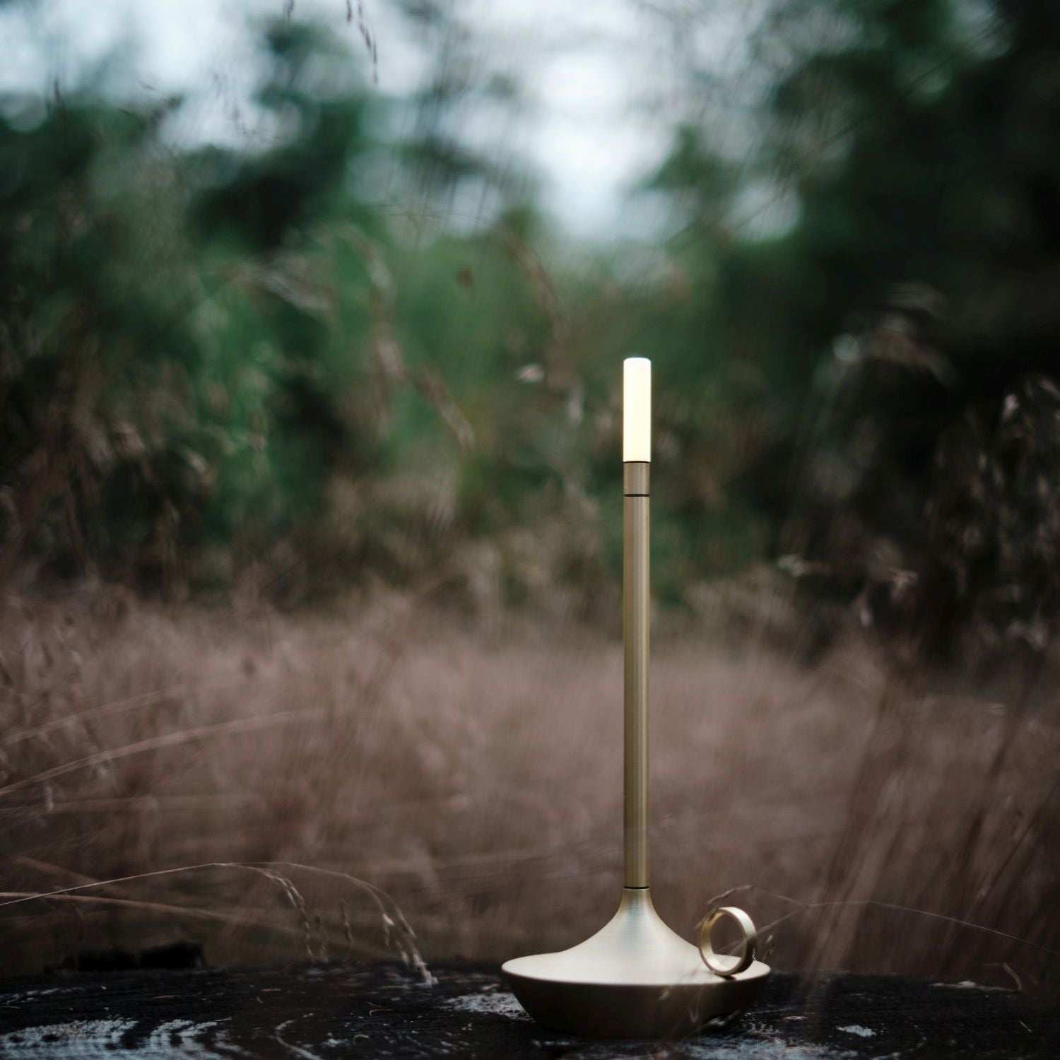 Gray Portable LED Table Lamp with Adjustable Brightness for Indoor and Outdoor Use