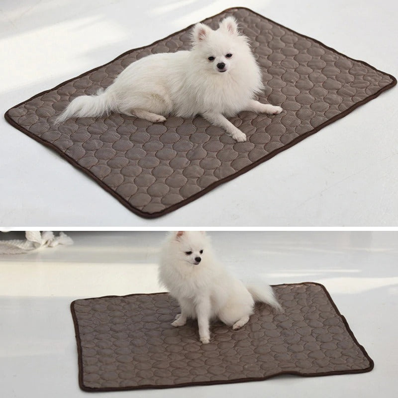 Airweave Dog Bed | Small Dog Bed from Airweave