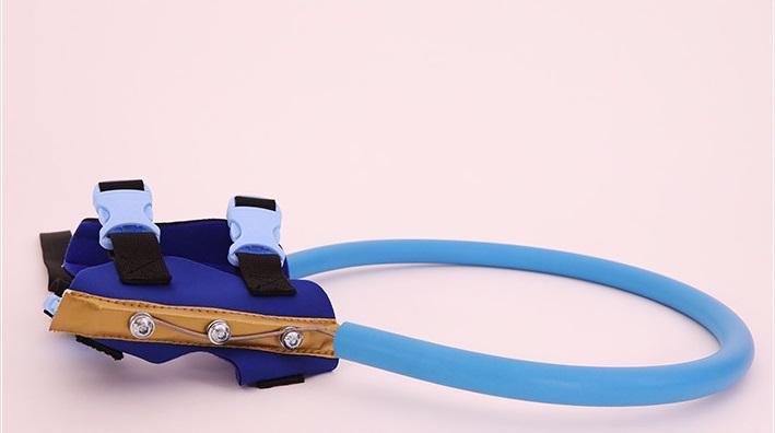 Bumper Collar Guide For Blind Dogs Harness - Balma Home