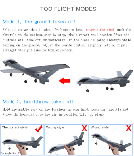 RC Plane | Remote Control Plane Predator Z51