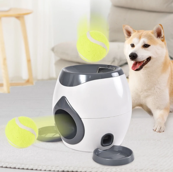 automatic-dog-ball-launcher