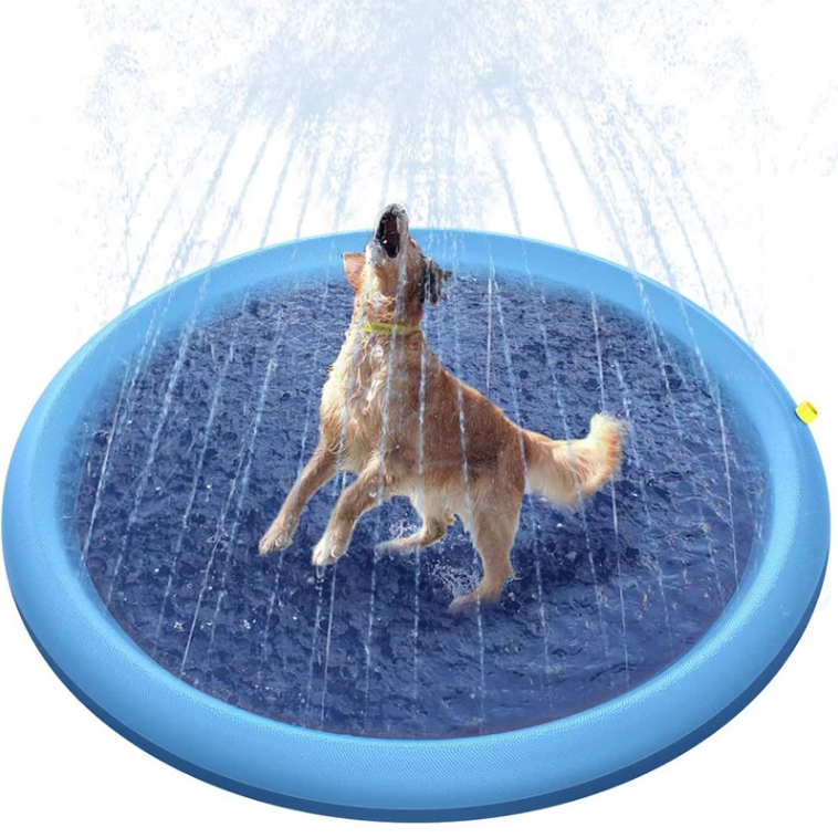 splash-pad-for-dogs