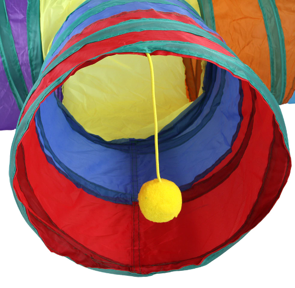 cat-tunnel-outdoor