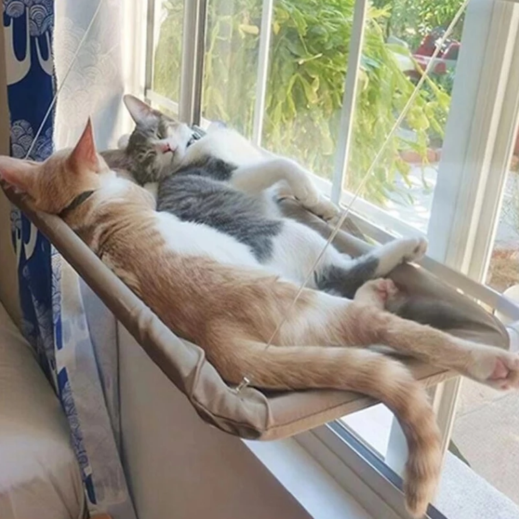 modern-cat-furniture