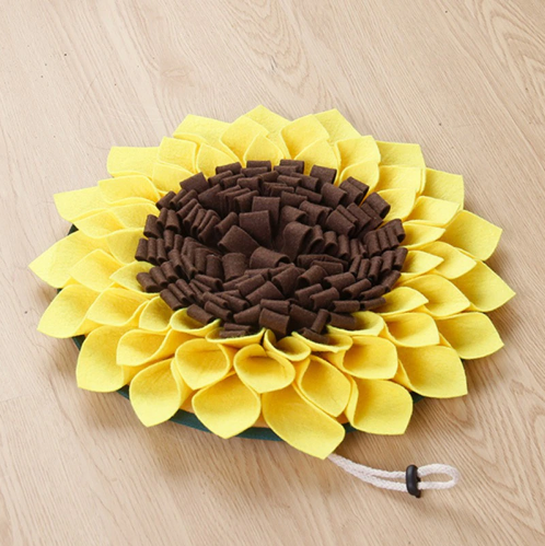  dog-mat-food