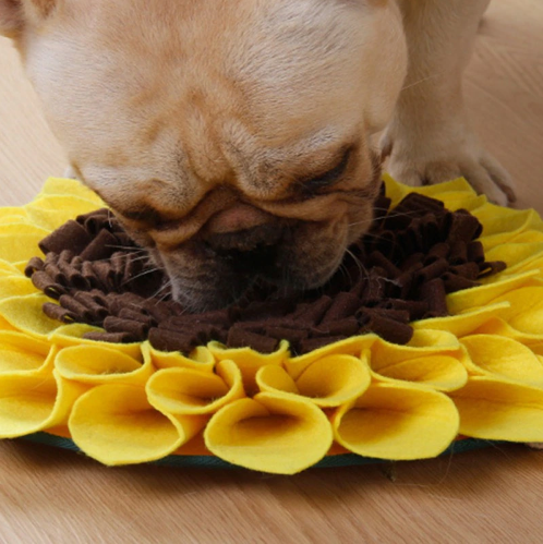 snuffle-mat-for-dogs 