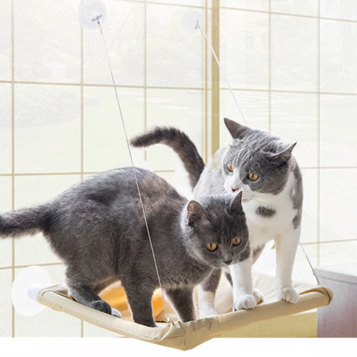cat-hammock-window