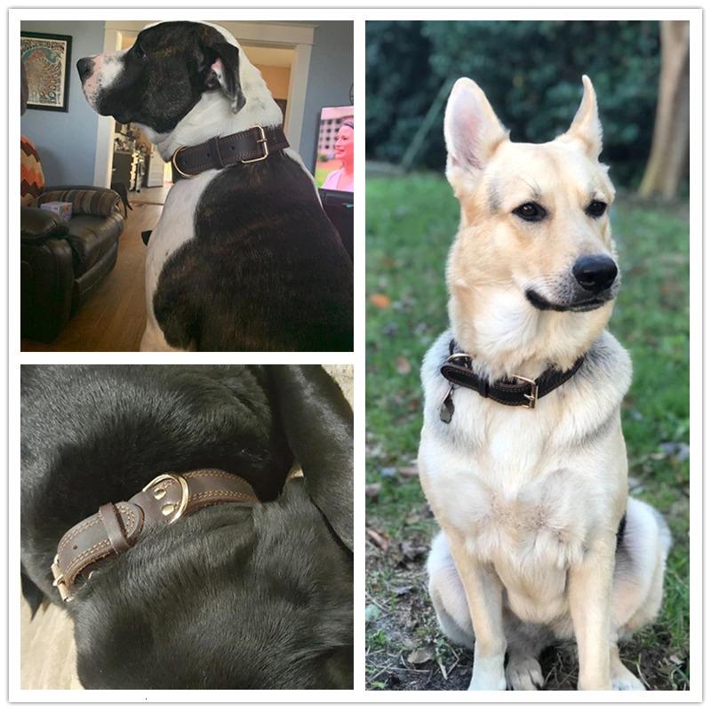 Quality Barbour Dog Collar Rustproof Double D-Ring