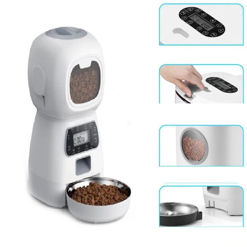timed cat feeder