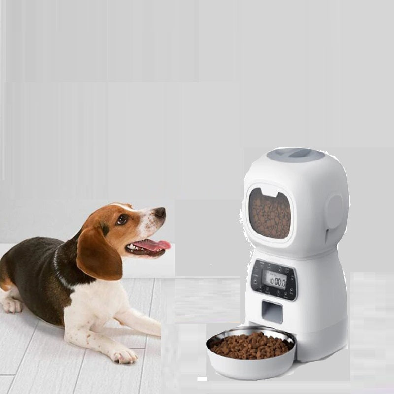 smart cat feeder